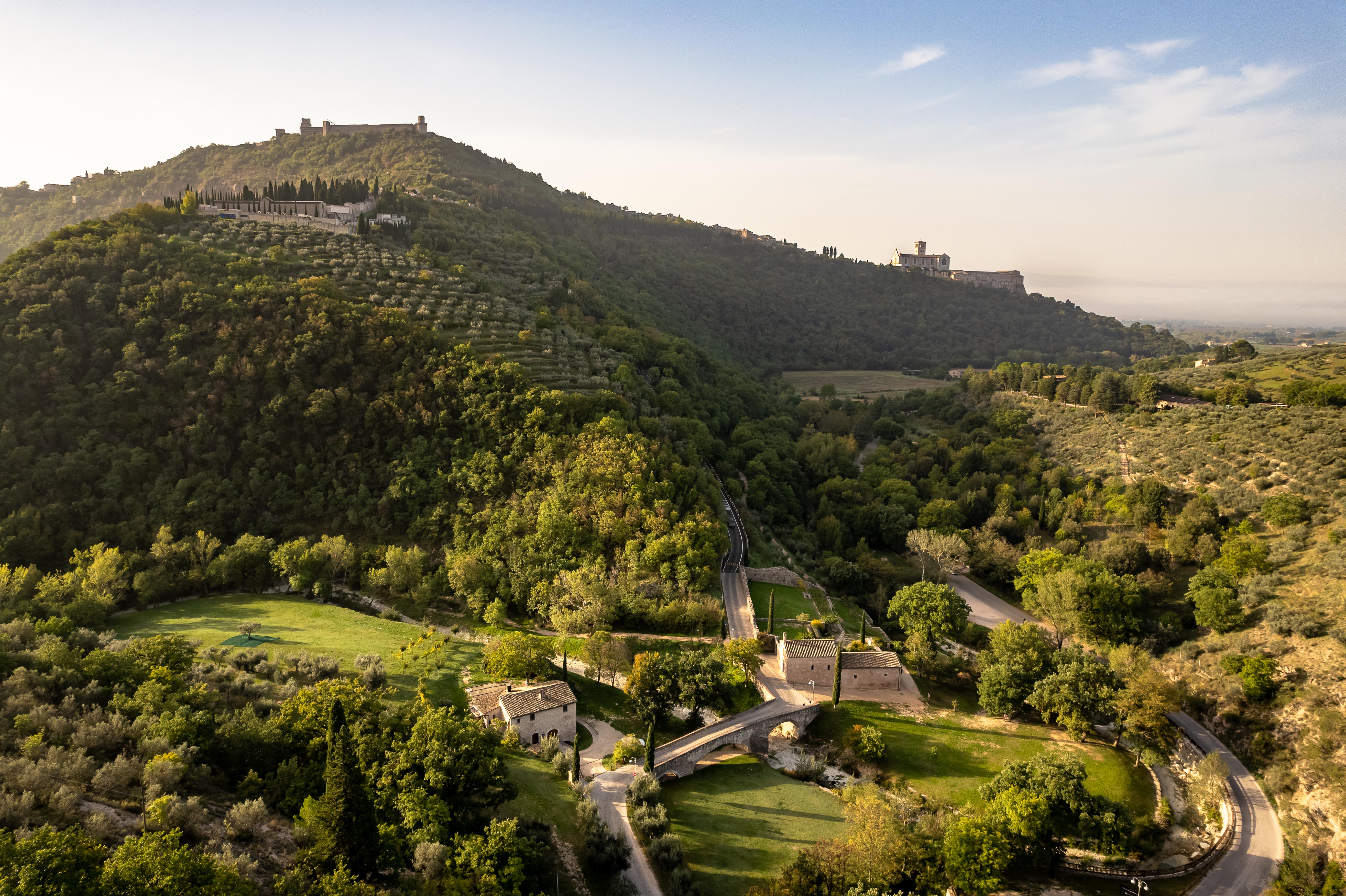 FAI Bosco di San Francesco